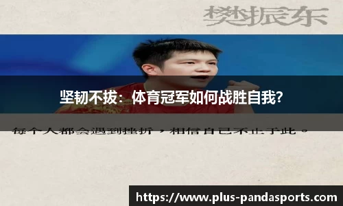熊猫体育